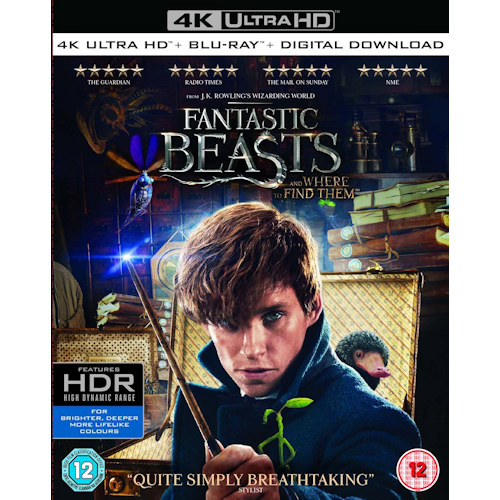 MOVIE - FANTASTIC BEASTS AND WHERE TO FIND THEM -4K ULTRA HD UK-FANTASTIC BEASTS AND WHERE TO FIND THEM -4K ULTRA HD UK-.jpg